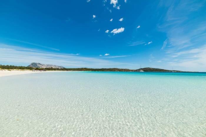 Olbia 53-11 Cin R3659 Leilighet Eksteriør bilde